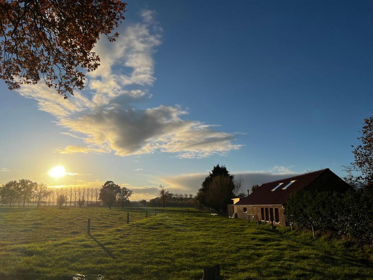 Bloemendale Guesthouse Brugge Dış mekan fotoğraf