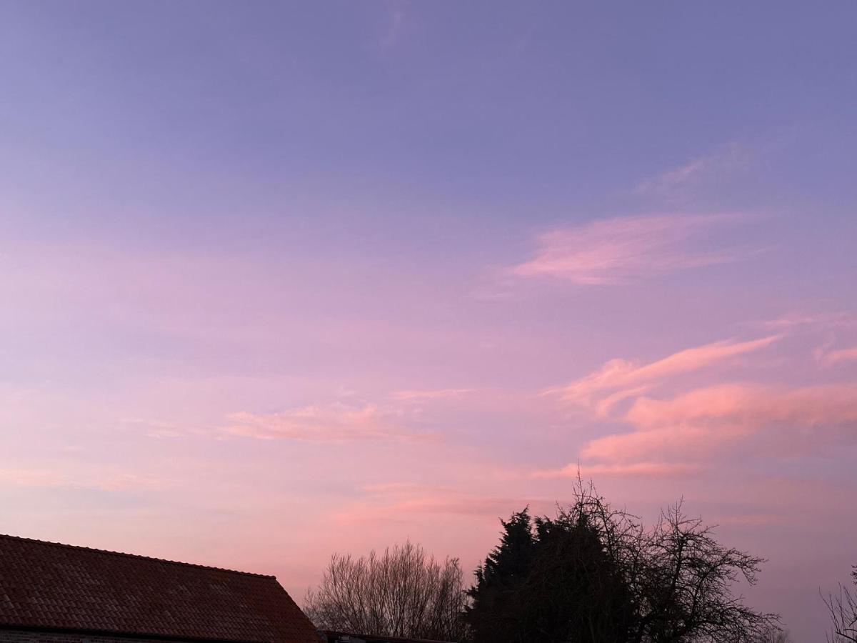Bloemendale Guesthouse Brugge Dış mekan fotoğraf