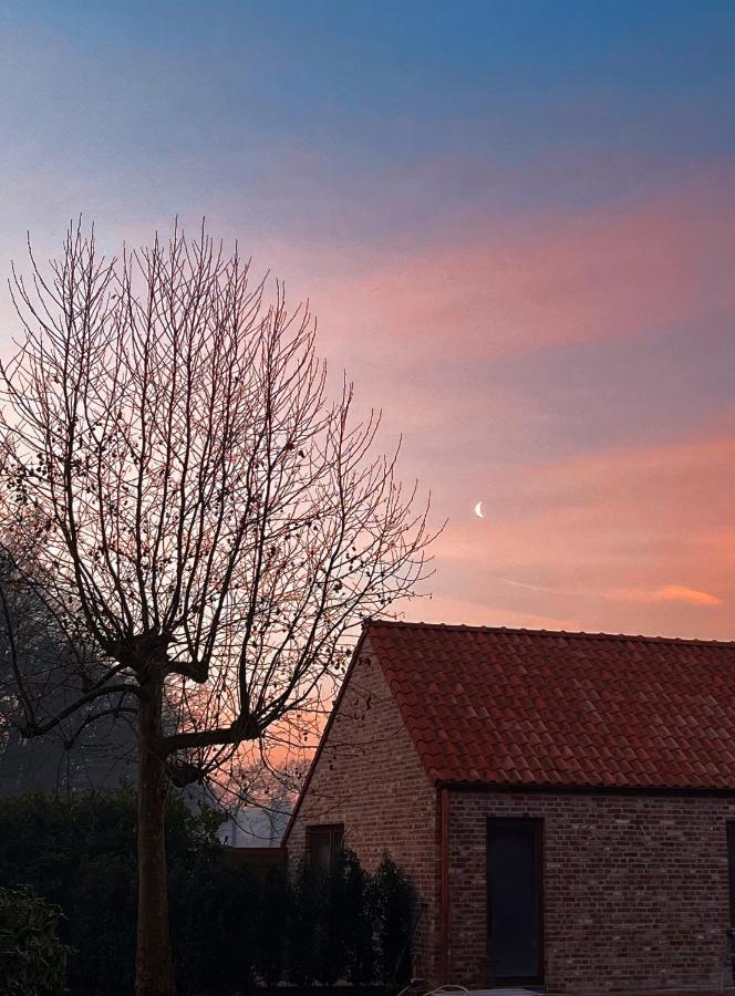 Bloemendale Guesthouse Brugge Dış mekan fotoğraf